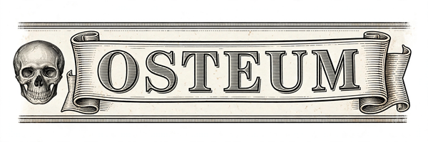 OSTEUM